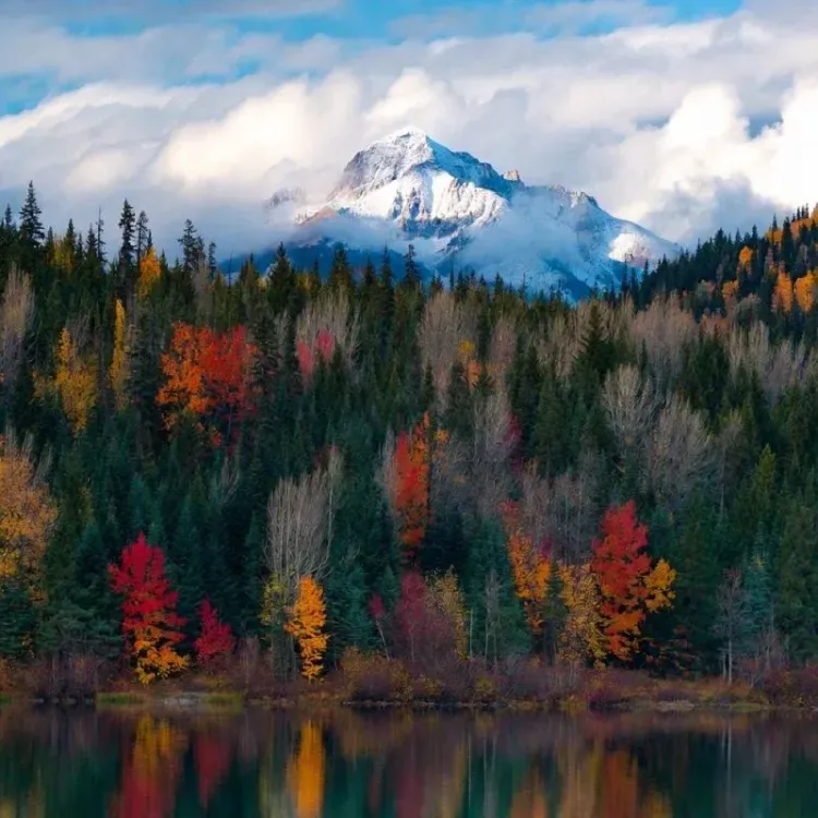 Change order approval workflow illustration